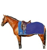 Thermatex Nordic Exercise rug