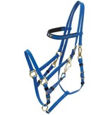 Zilco Marathon endurance bridle