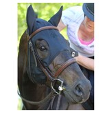 Fenwick Equestrian Fenwick Liquid Titanium mask with sound reducing ears and velcro closing