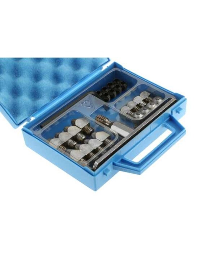 Michel Vaillant TUNGSTEN studs kit