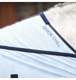 Equilibrium Quick Chill Cooler