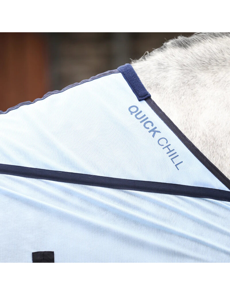 Equilibrium Quick Chill Cooler