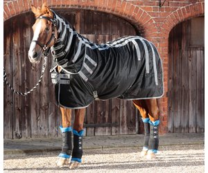mare covering boots