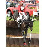 Premier Equine AIRtrax eventing boots - hind