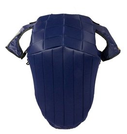 Hows Racesafe Shoulder protectors for RS 2010