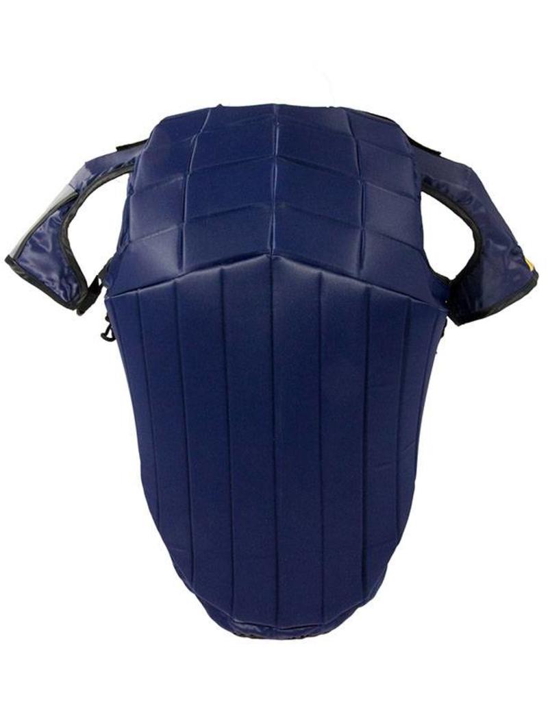 Hows Racesafe Shoulder protectors for RS 2010