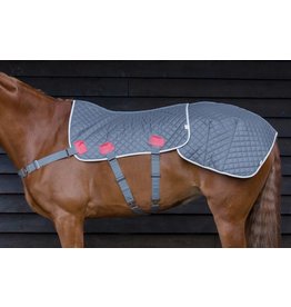 Equilibrium Therapy Magnetic Back and Quarters Pad