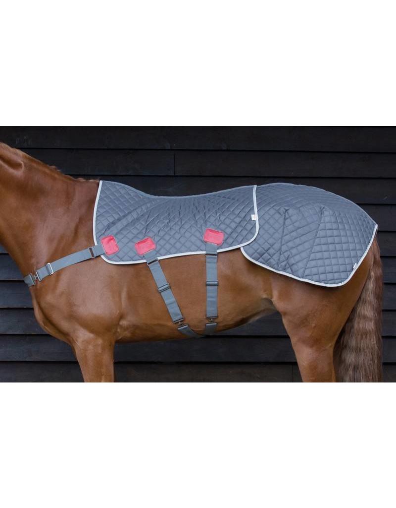 Equilibrium Therapy Magnetic Back and Quarters Pad