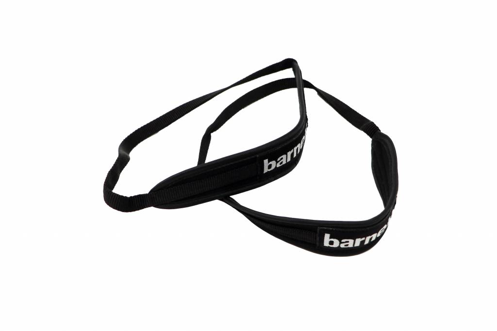 XS-01 Dragonnes de biathlon