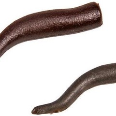 MAD rig aligners small | hook 6-8 | 15 pcs