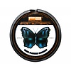 PB Products ghost butterfly | 20M | rig