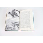 Kanjers - Richard Walker | book