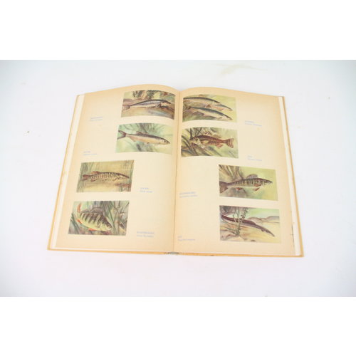 Handboek voor den hengelaar - Ferd Vulsma | boek