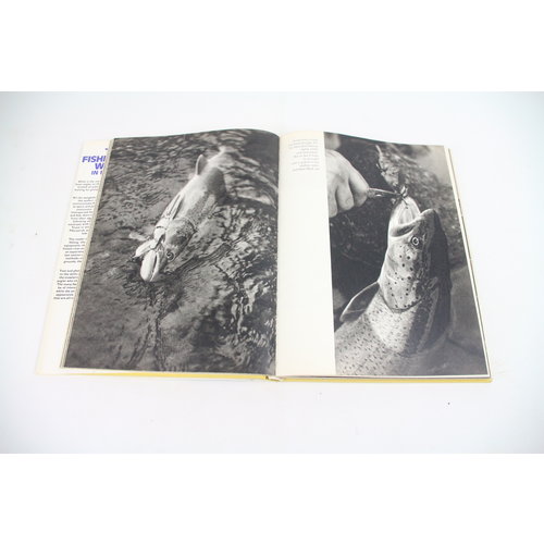 The fisherman's world in pictures - Slava Stochl | book