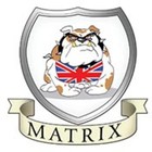 Matrix innovations