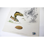 Dreamwaters 2008 | Flyfishing Gallery | calender