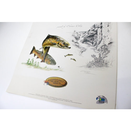 Dreamwaters 2008 | Flyfishing Gallery | calender