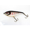 Catchmore SE 18 cm | jerkbait