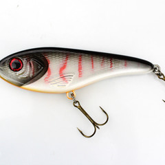 Catchmore SE 18 cm | jerkbait