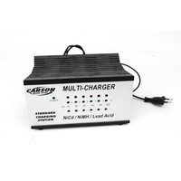 Carson multi-charger