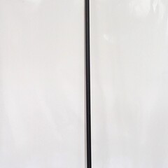 Anaconcda Anaconda landing net handle  | 184 cm