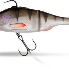 Quantum Quantum | Freak of Nature Young Perch | 15 cm