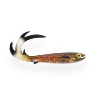 EJ lures EJ Lures | Flatnose Dragon | 27 cm 50 gr | shad | artificial bait