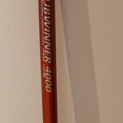 SPRO Spro Clubwinner 4000 | Landing net handle | extendable 400 cm