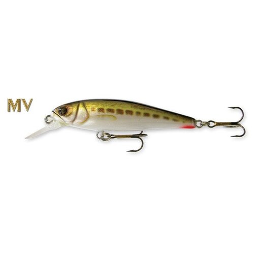 Goldy Goldy | Goldfish | Sinking | 5.5 cm