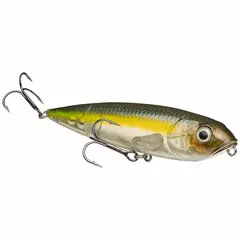 Strike King Strike King  | KVD | SEXY DWAG JR  | Shad