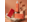 Holiday Deals