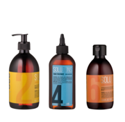 IdHAIR Solutions – Trio Cuir Chevelu Sec