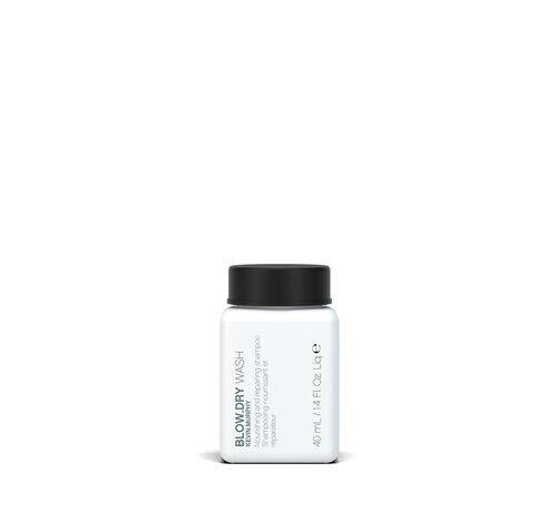 KEVIN MURPHY BLOW DRY WASH