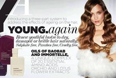 Kevin Murphy's YOUNG.AGAIN LINE