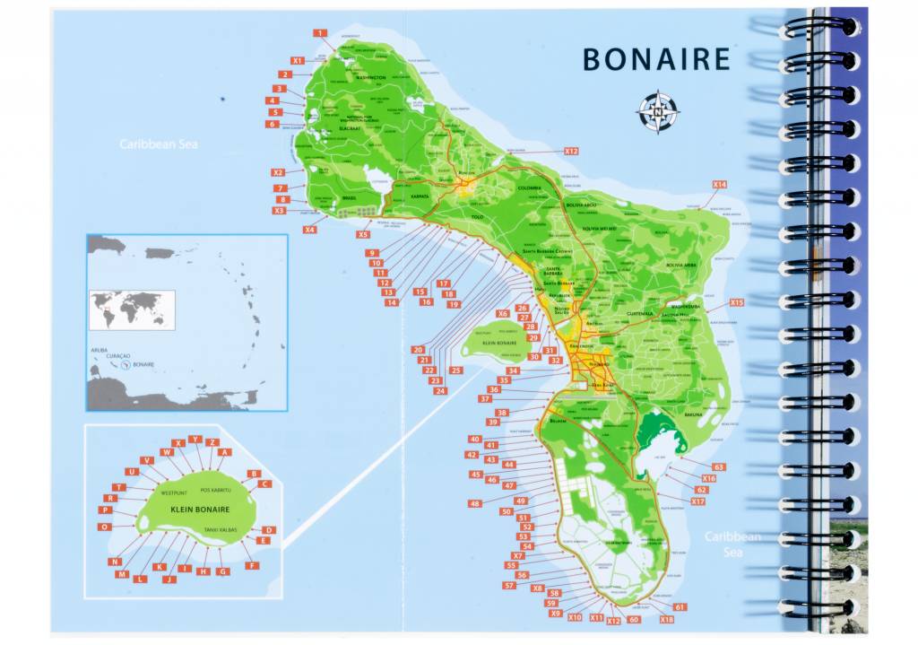 Pakket Duikgids Bonaire + Determinatiekaart (Engelse editie)