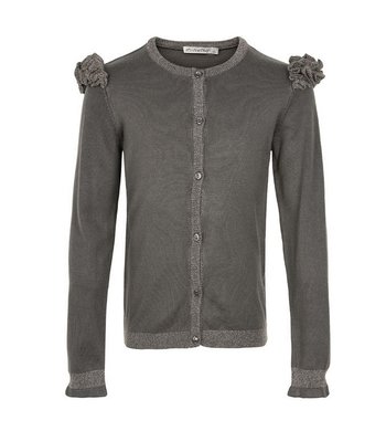 Minymo vestje donkergrijs met goud VXX Minymo vestje donkergrijs met goud VXX