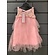 tule dress pink
