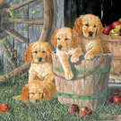 Cobble Hill Cobble Hill puzzel - Puppy pail