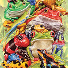 Cobble Hill Cobble Hill puzzel - Frog pile