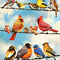 Cobble Hill Cobble Hill puzzel - Birds on a wire 500 stukjes