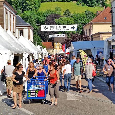 Bezoek aan de Sainte Marie Mineral Show