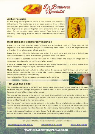 Recognise fake amber info sheet