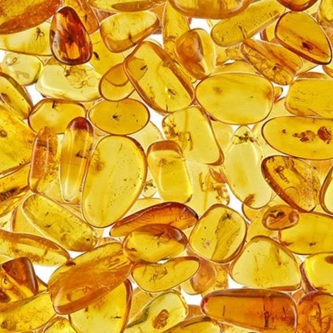 What is Amber?