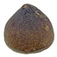 Spherical tooth of the globidens mosasaur