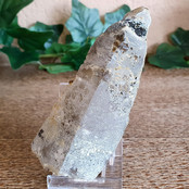 Skeleton quartz elastial Skeleton quartz elastial