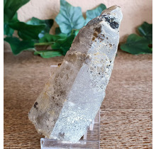 Skeleton quartz elastial