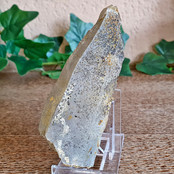 Skeleton quartz elastial Skeleton quartz elastial