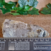 Skeleton quartz elastial Skeleton quartz elastial