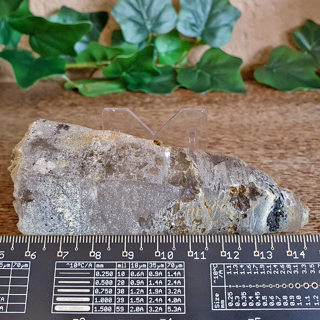 Skeleton quartz elastial Skeleton quartz elastial