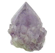 Kaktus oder Spirituosenquarz mit Amethyst